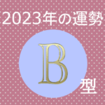 2023年B型