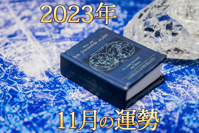 2023年11月占いの本と水晶