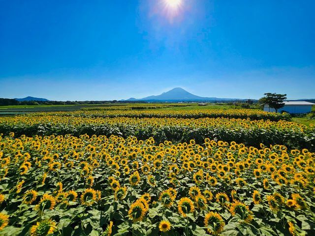 五行思想および傾斜を考慮した九紫火星の相性早見表