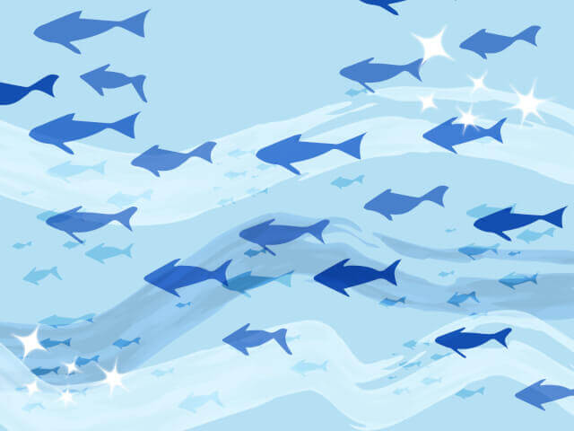 大量の魚影